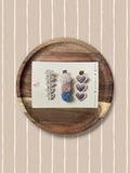 Alligator setje | Blue Mocha